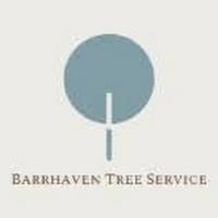 Barrhaven Tree Service image 3